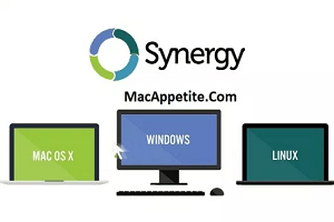 synergy 1.8.8 serial key torrent download